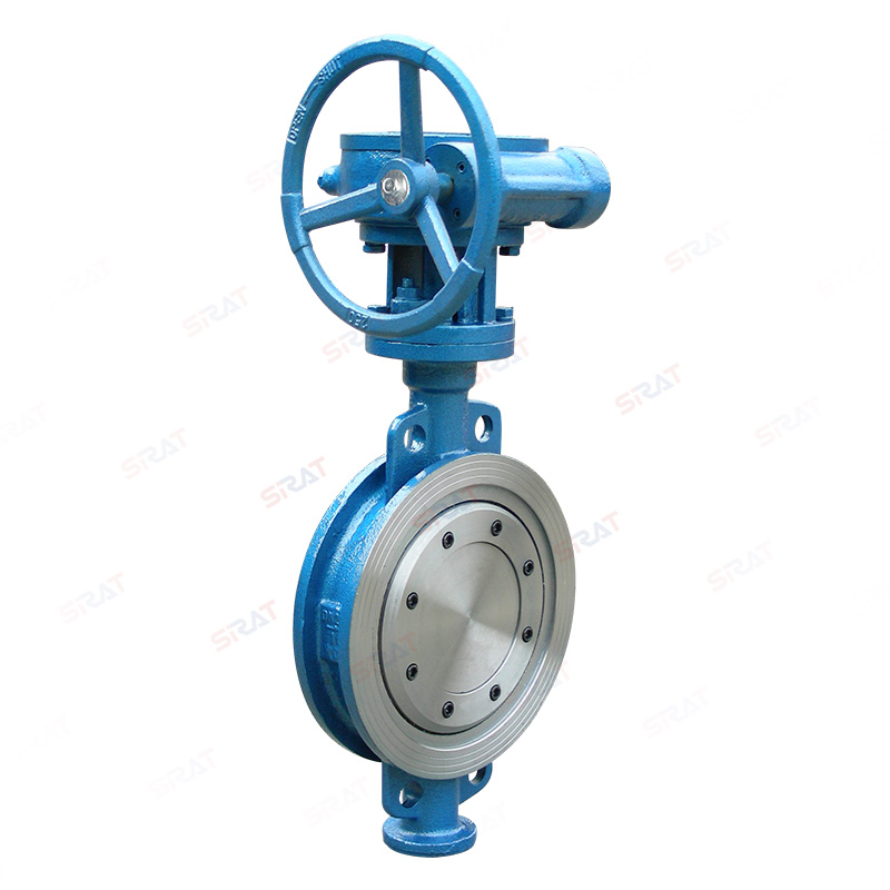 Worm gear clamp butterfly valve