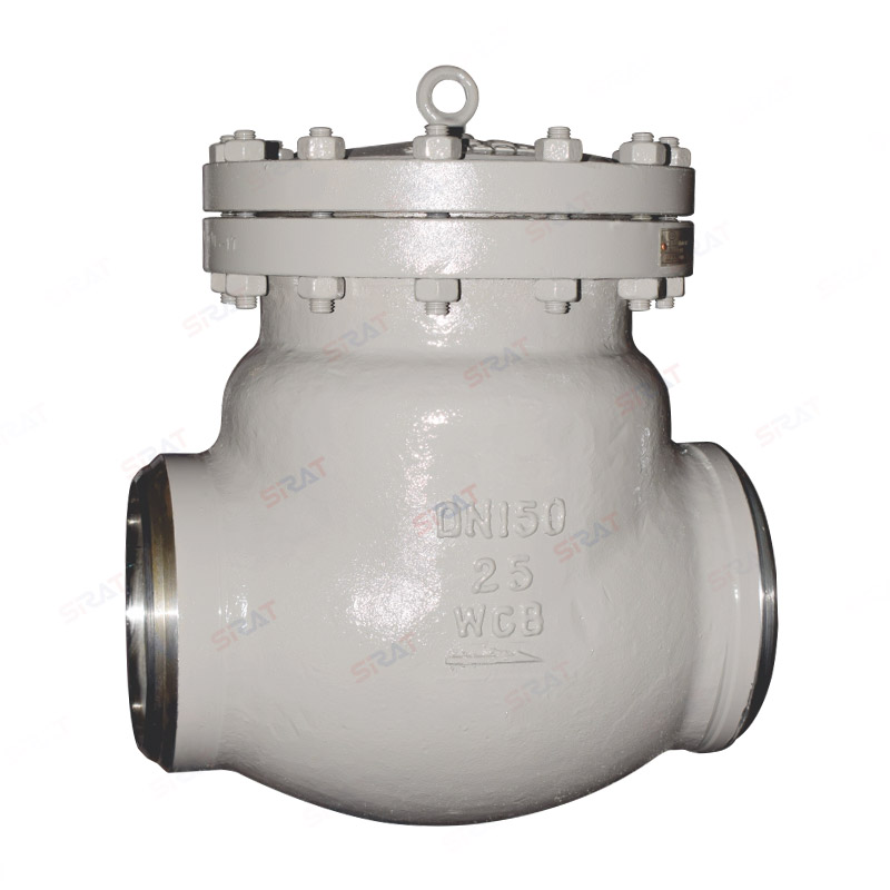 Power station check valve