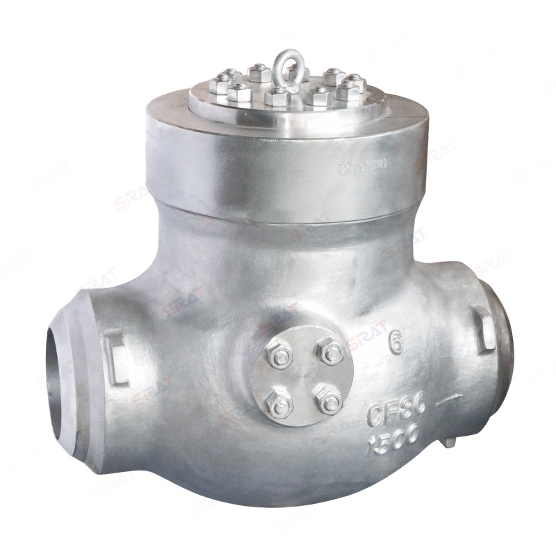 Power station check valve