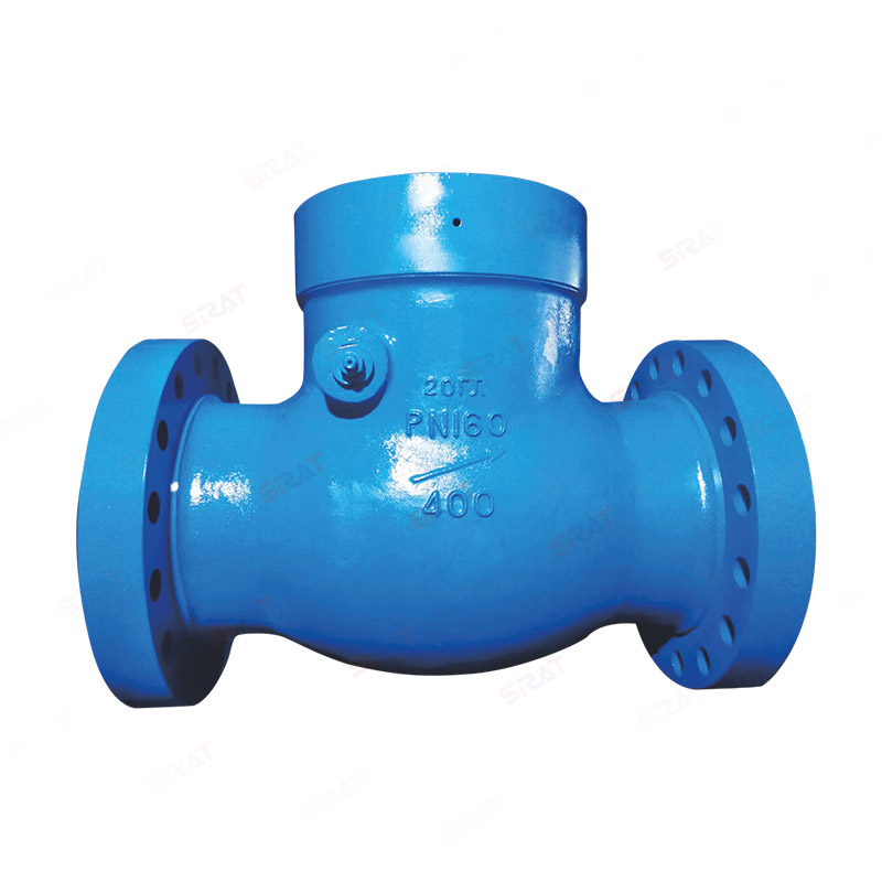 Power station check valve