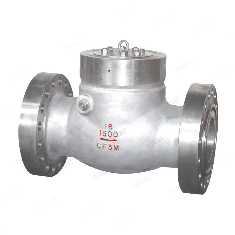 Power station check valve