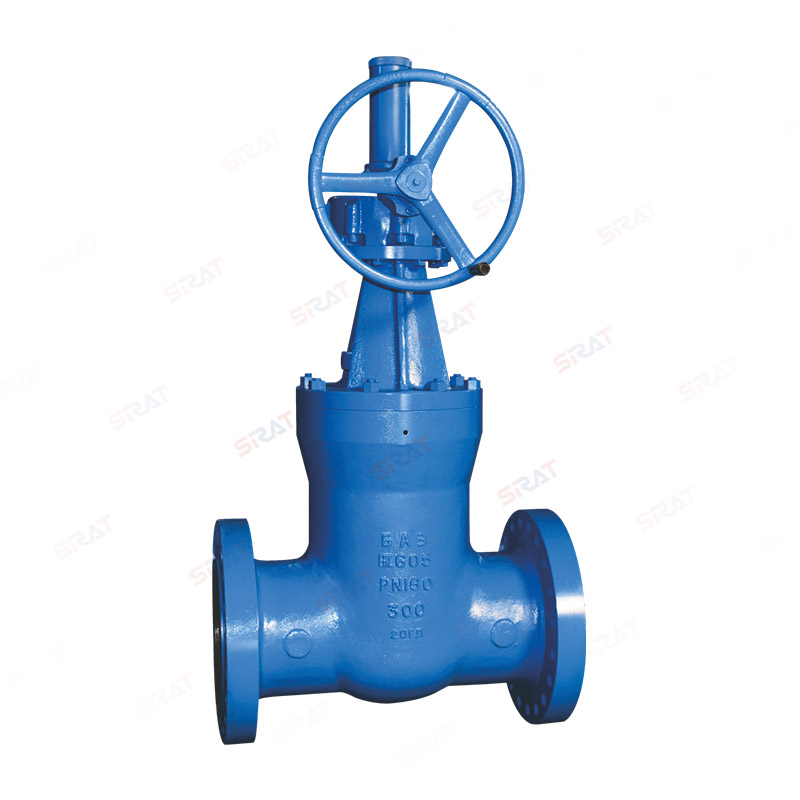 Power station gate valve