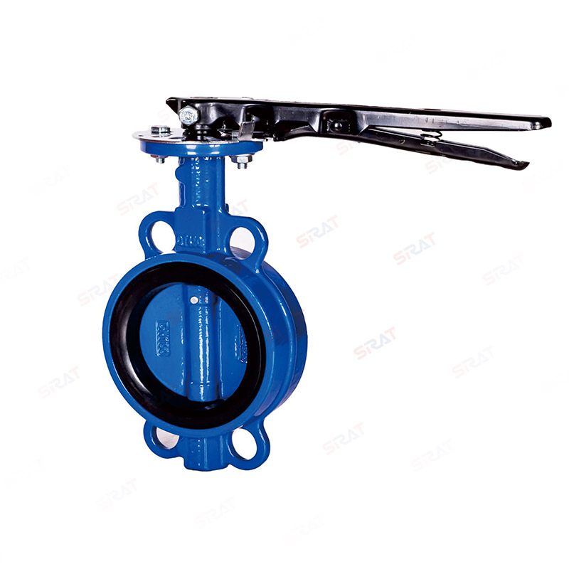 Butterfly valve with clamp