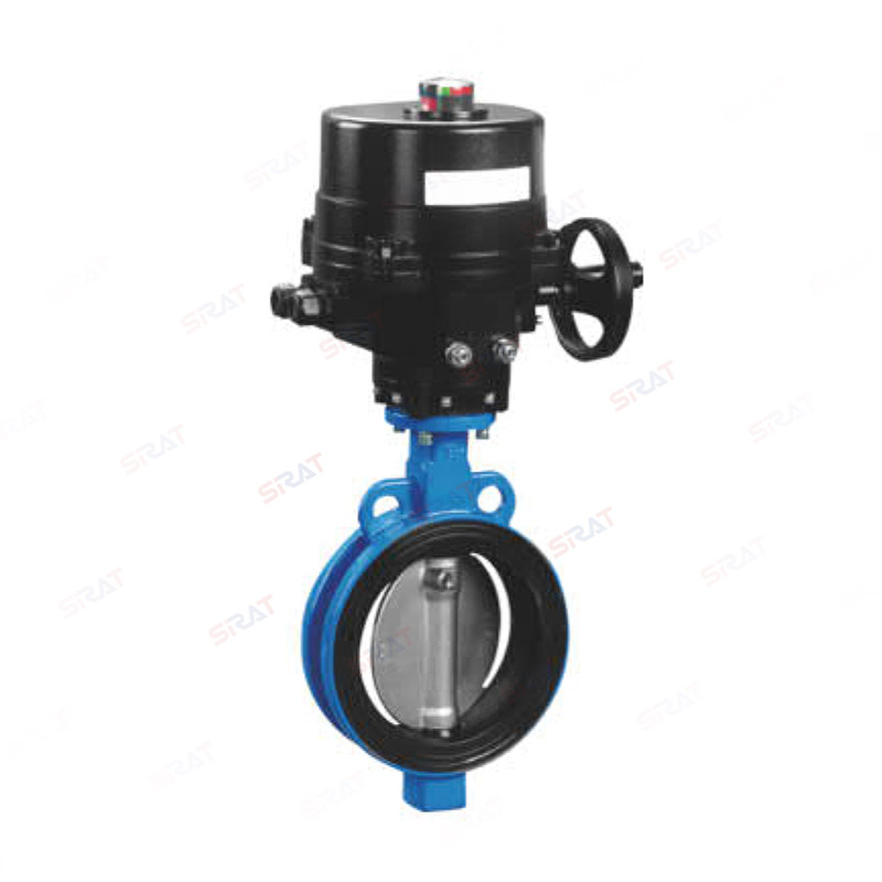 Butterfly valve with clamp