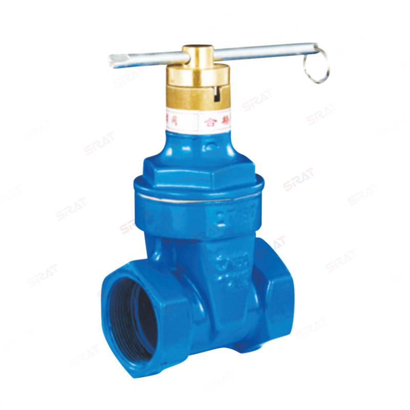 Anti theft threaded gate valve