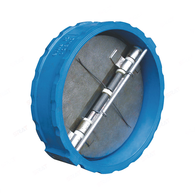 Clamp check valve