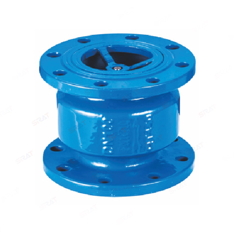 Vertical check valve