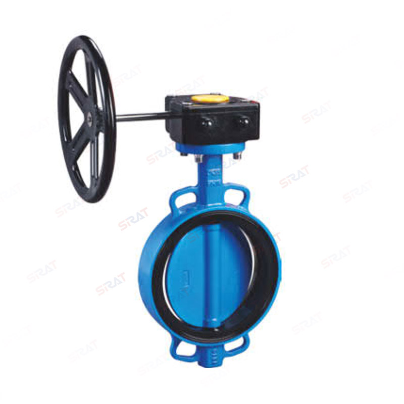 Butterfly valve with clamp