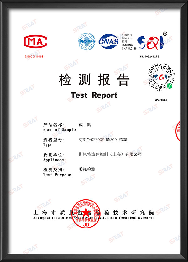 CMA Inspection and Testing Report - Globe Valve