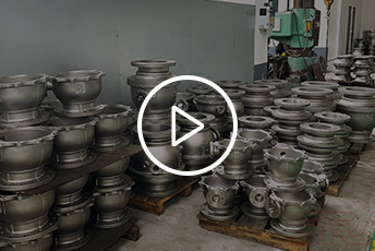 Enterprise Video