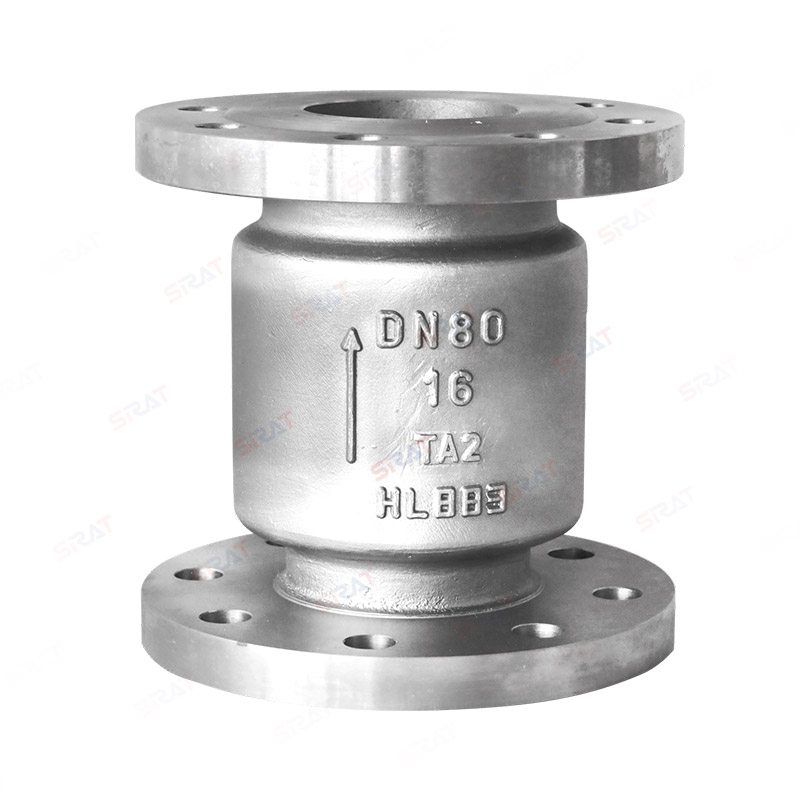 Titanium vertical check valve