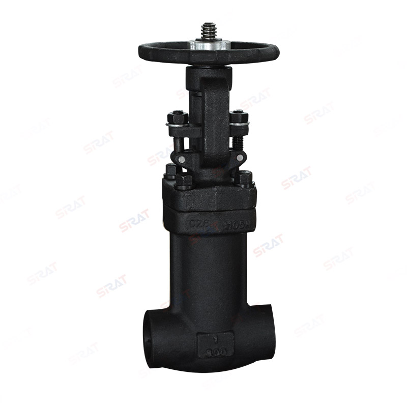 Bellows gate valve