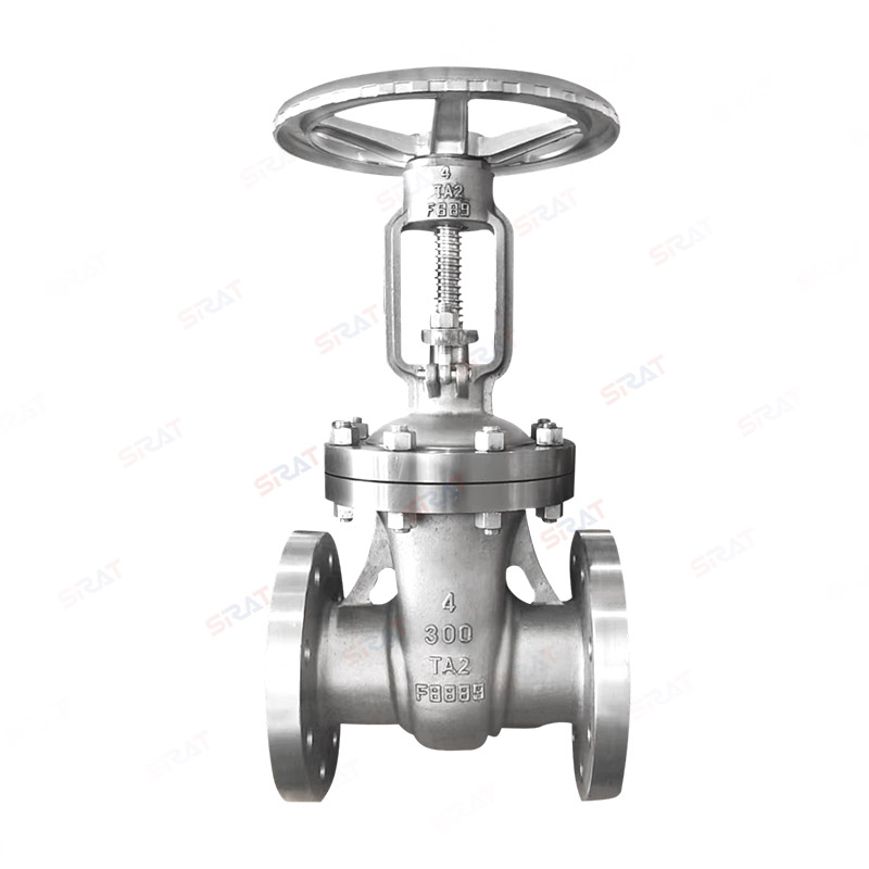 American standard titanium flange gate valve