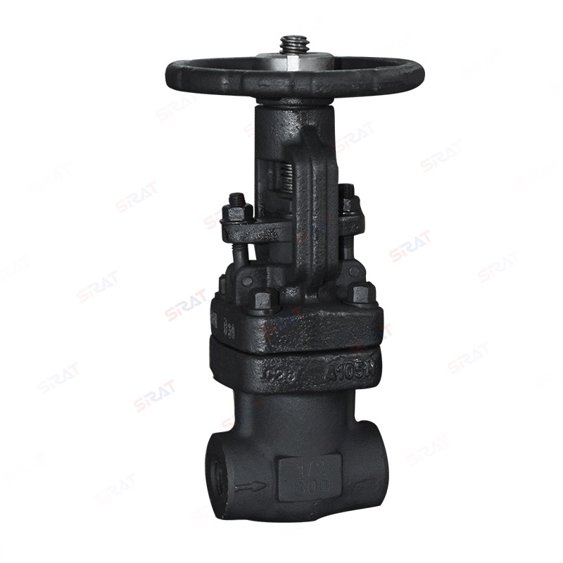 Bellows globe valves