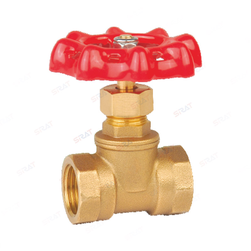 Brass globe check valve