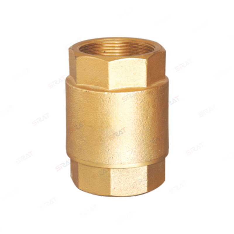 Brass vertical check valve