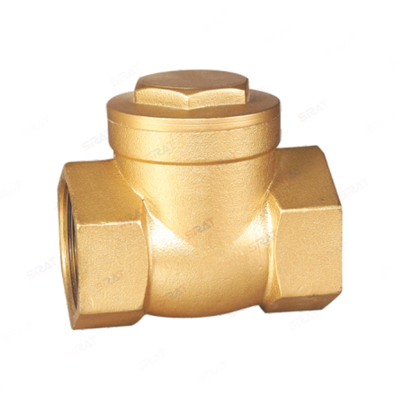 Brass check valve