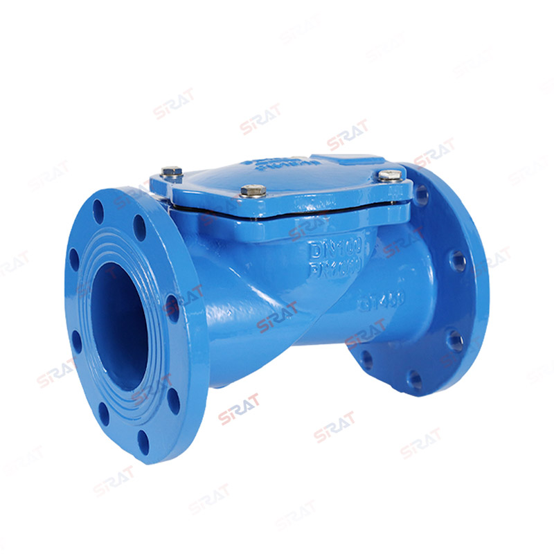 Rubber flap check valve