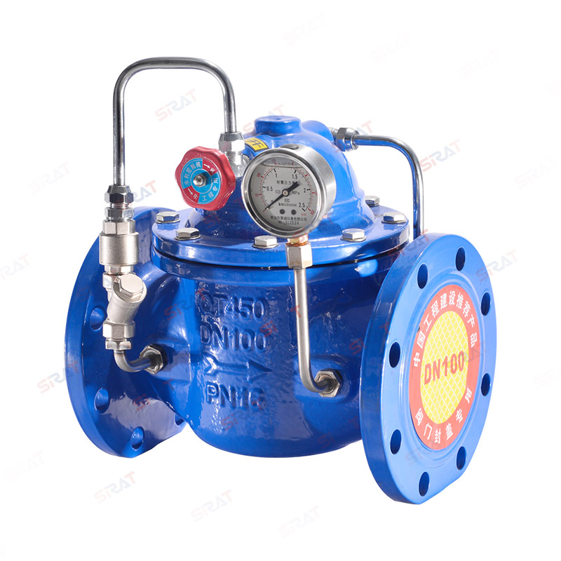 300X check valve