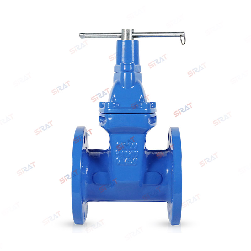 Anti theft flange gate valve