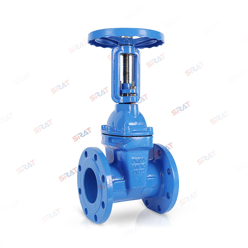 Soft sealed rising stem gate valve