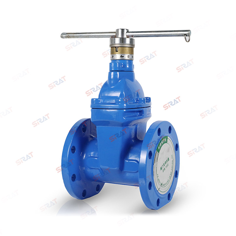 Encrypting flange gate valve