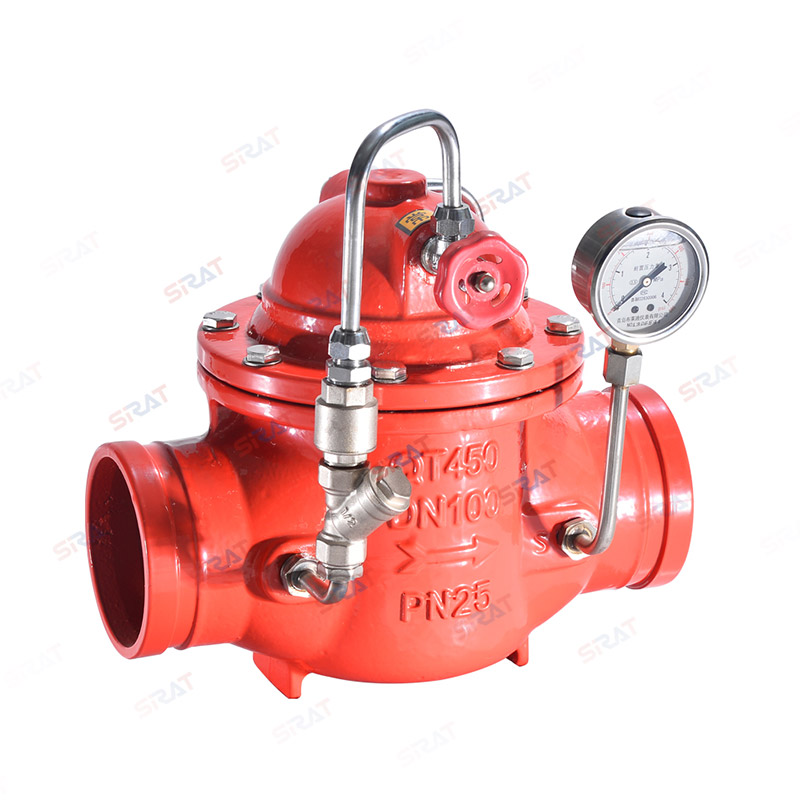 8300X groove check valve